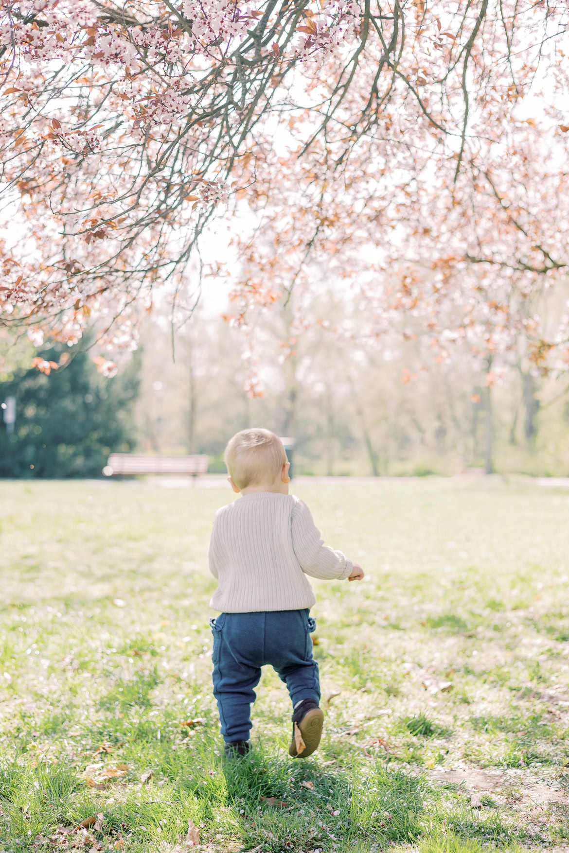 Blüten Mini Sessions 2025