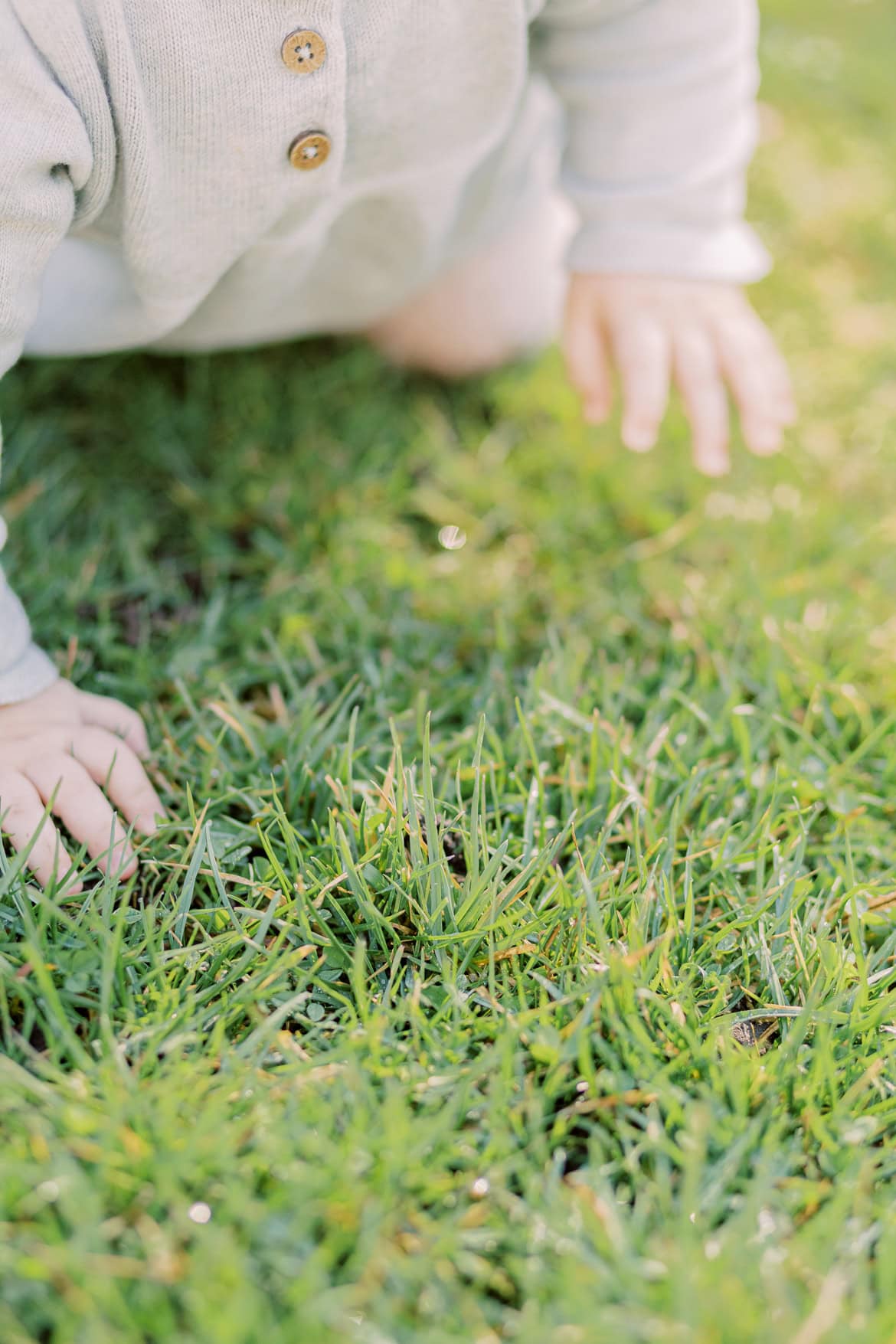 Blüten Mini Sessions 2025