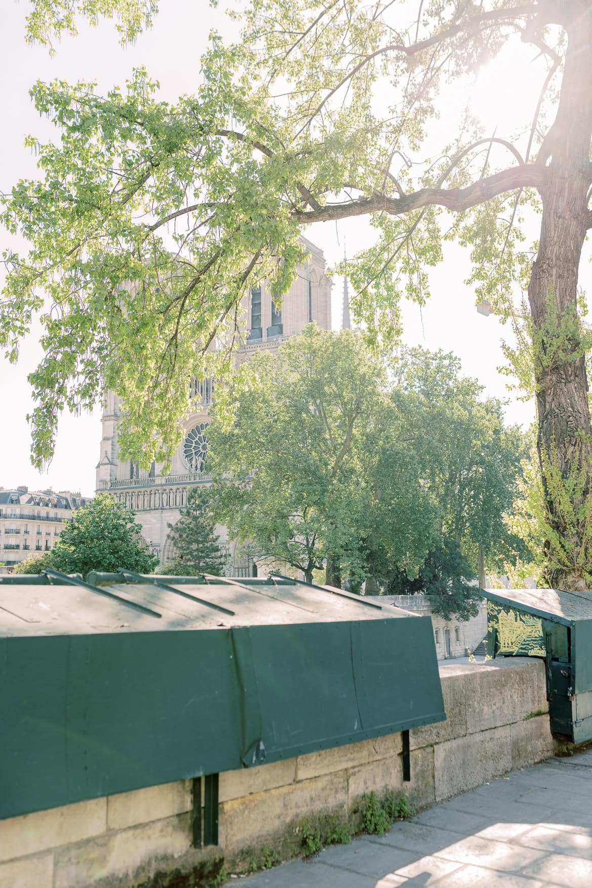 Verlobung an der Notre Dame - ein Editorial in Paris