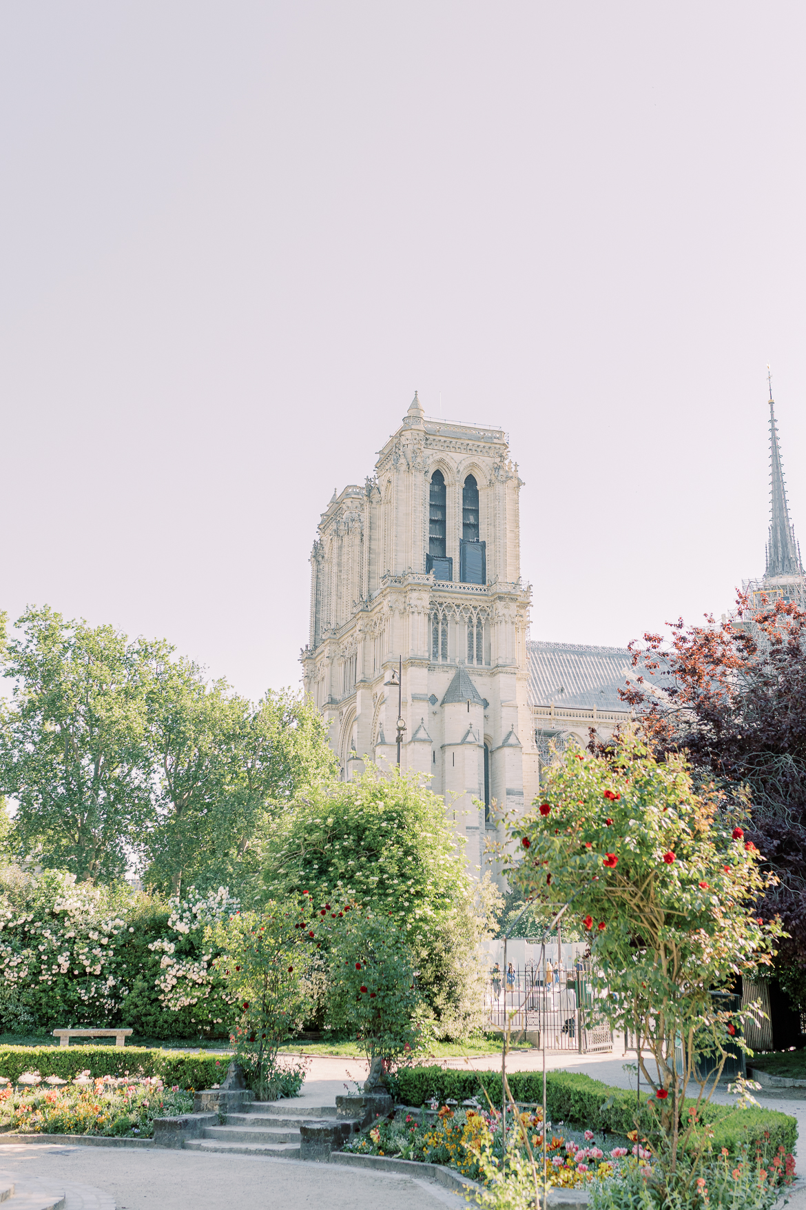 Verlobung an der Notre Dame - ein Editorial in Paris