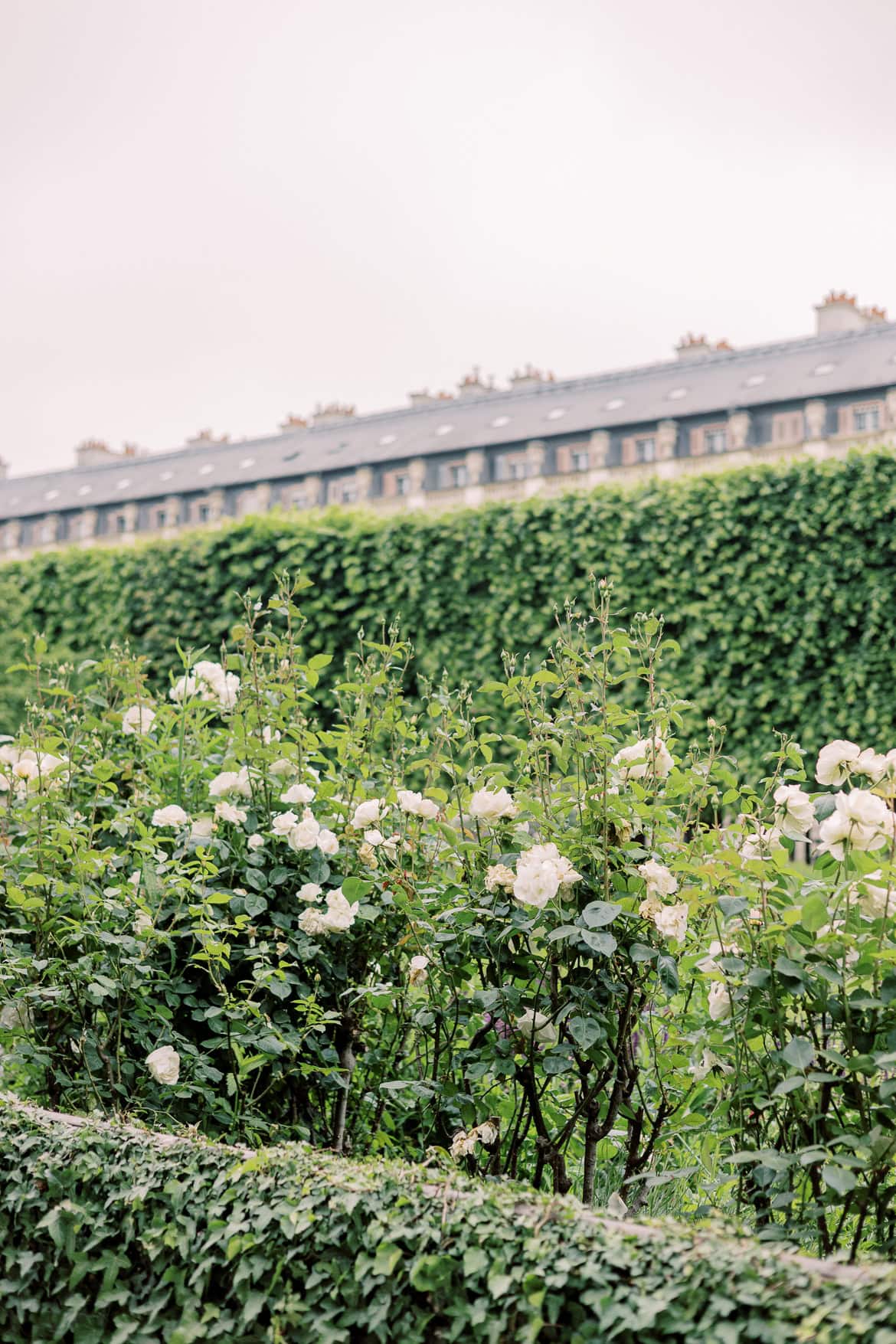 Verlobungsbilder in Paris