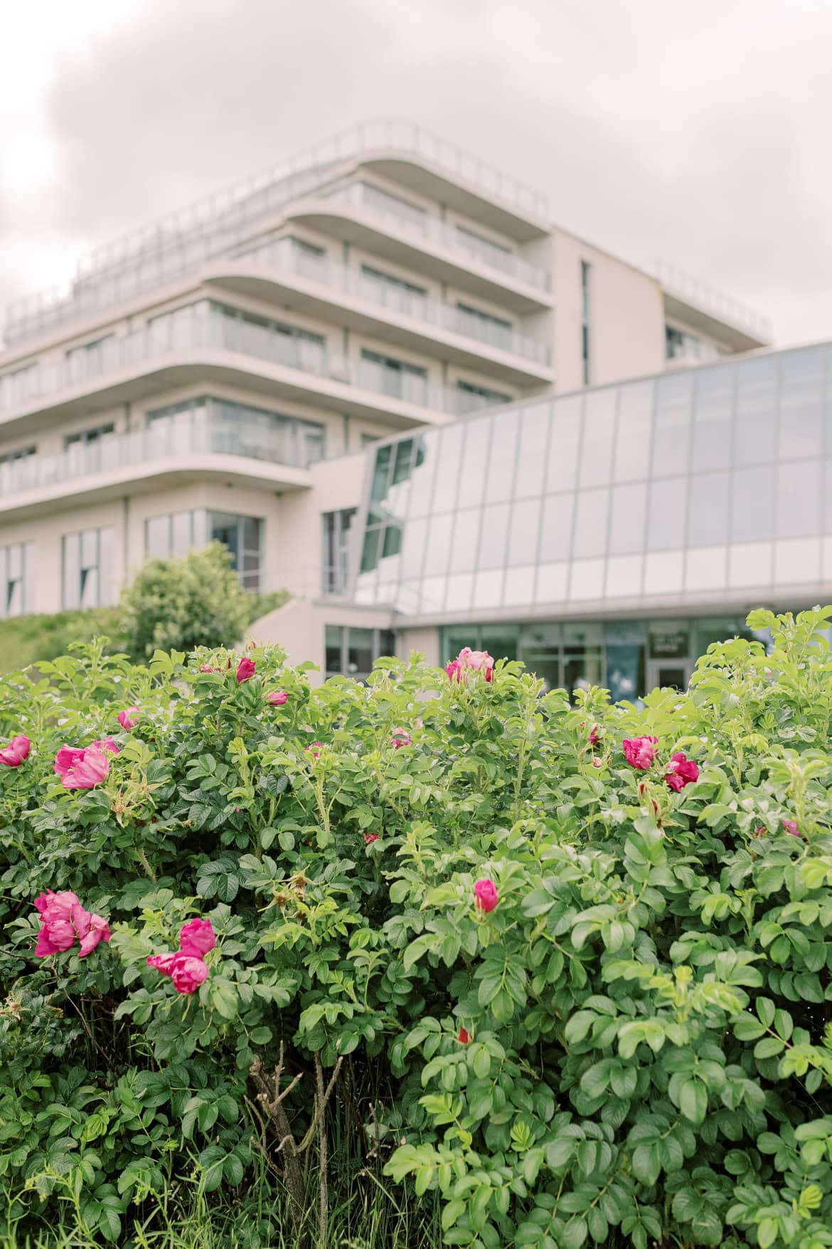 Elopement an der Ostsee in Ahrenshoop