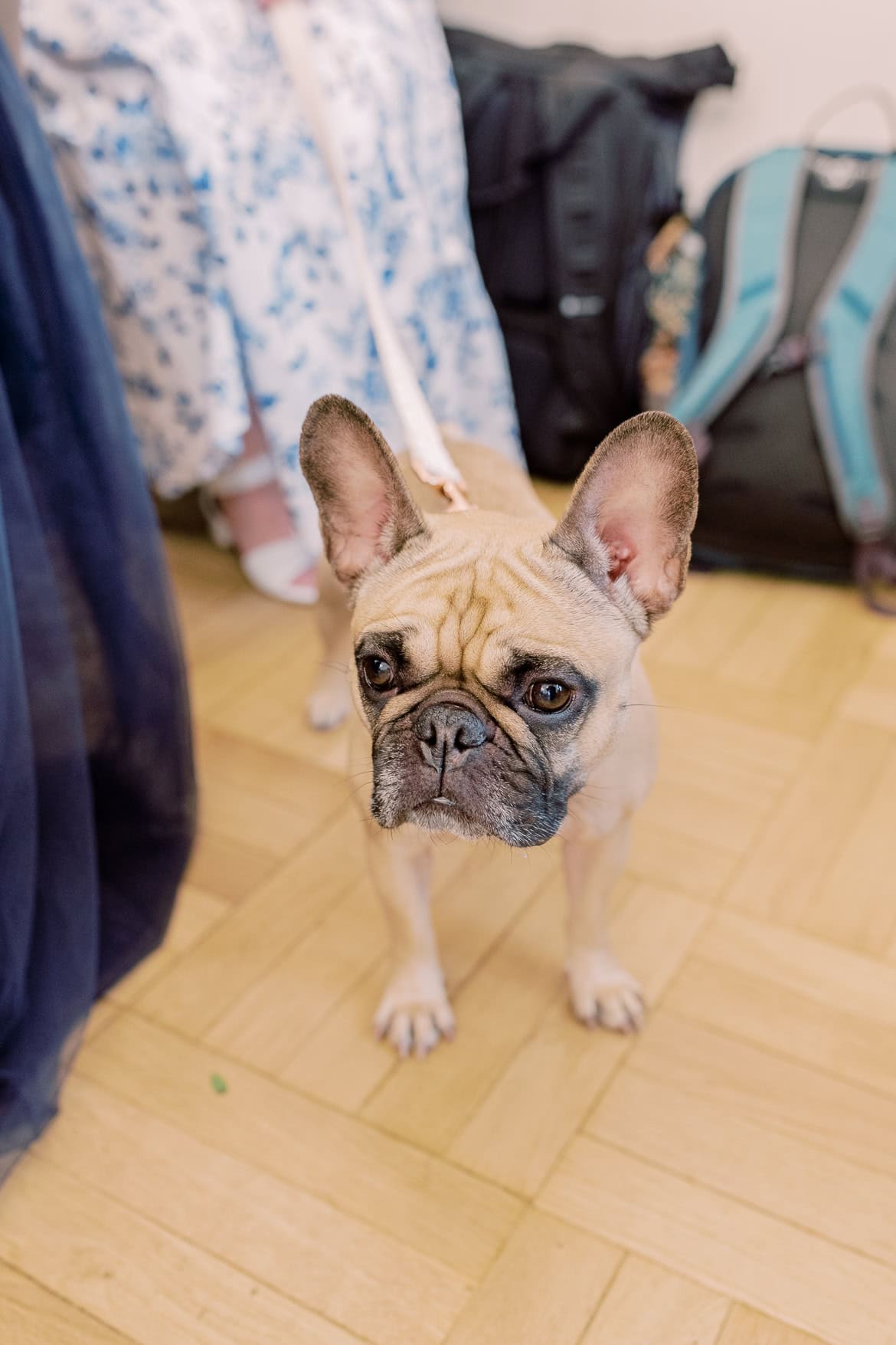 Hochzeit im Standesamt Spandau mit Feier in der Villa Schützenhof