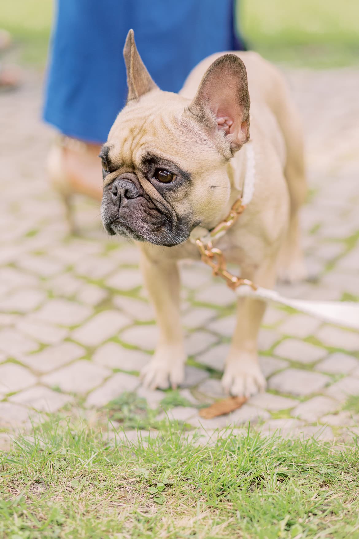 Hochzeit im Standesamt Spandau mit Feier in der Villa Schützenhof