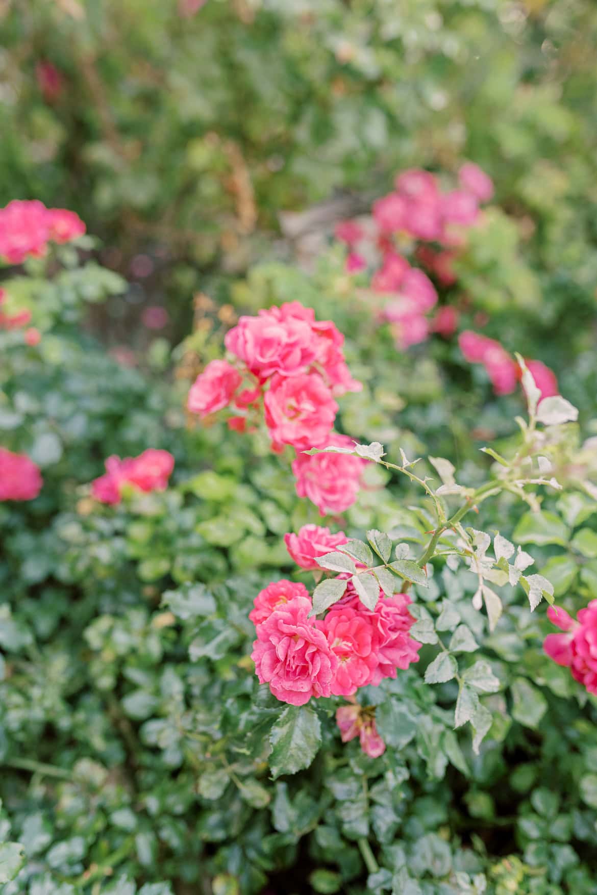 Hochzeit im Standesamt Spandau mit Feier in der Villa Schützenhof