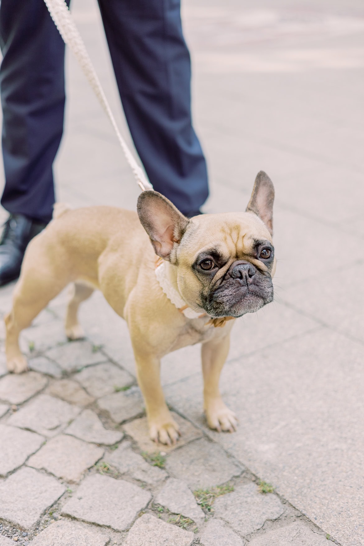 Hochzeit im Standesamt Spandau mit Feier in der Villa Schützenhof