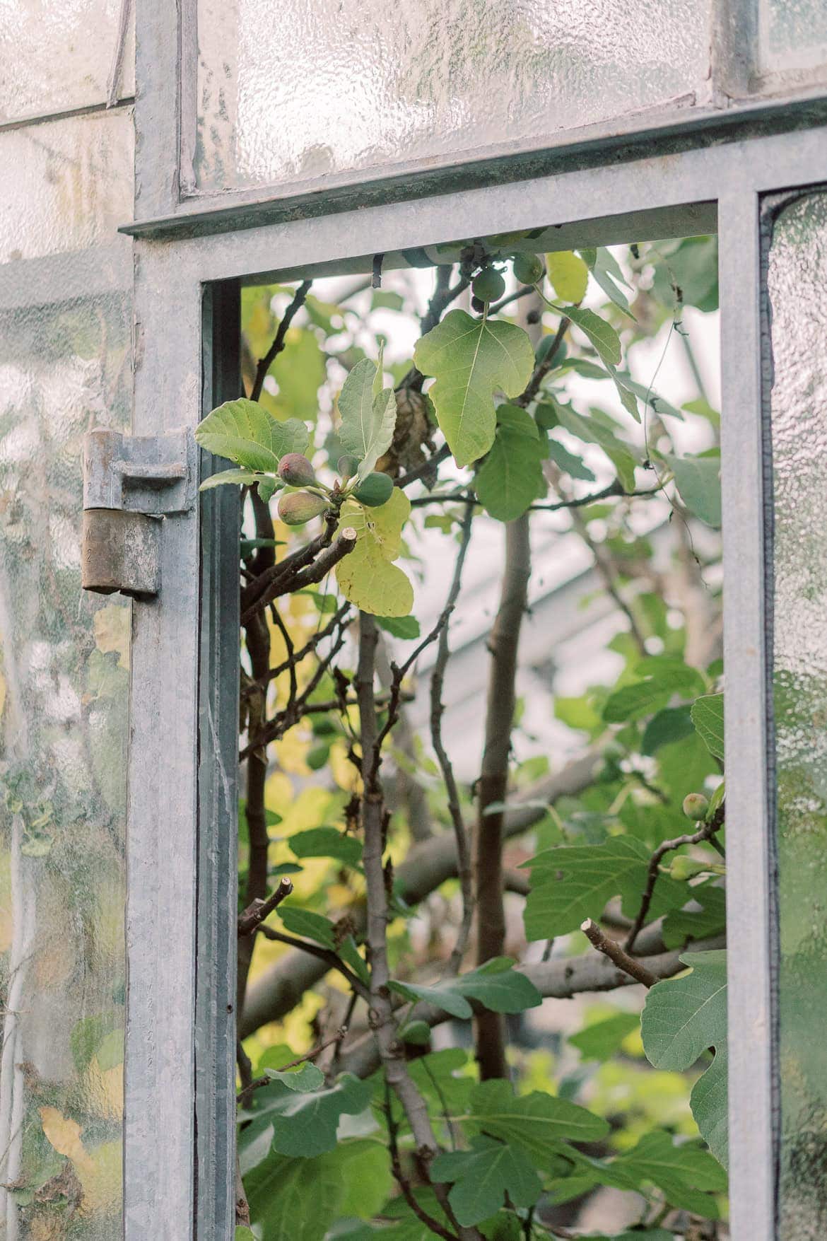 Kirchliche Trauung in München mit Feier in der "Alten Gärtnerei"