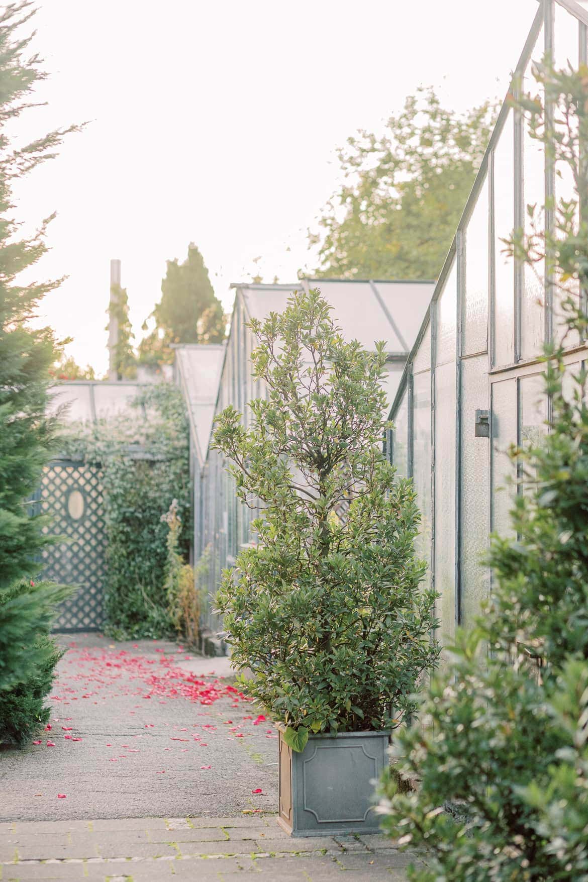 Kirchliche Trauung in München mit Feier in der "Alten Gärtnerei"