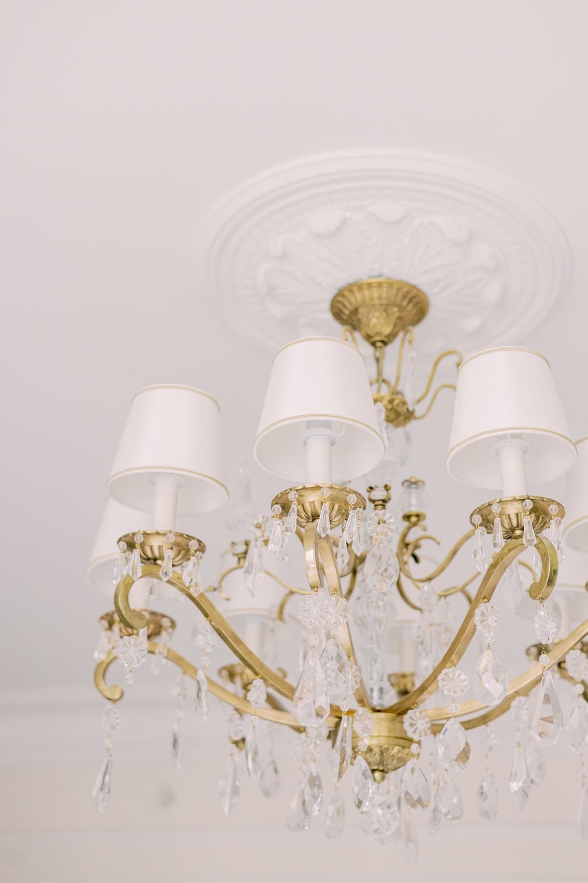 Sinnliche Portraits im Four Seasons Hotel George V Paris